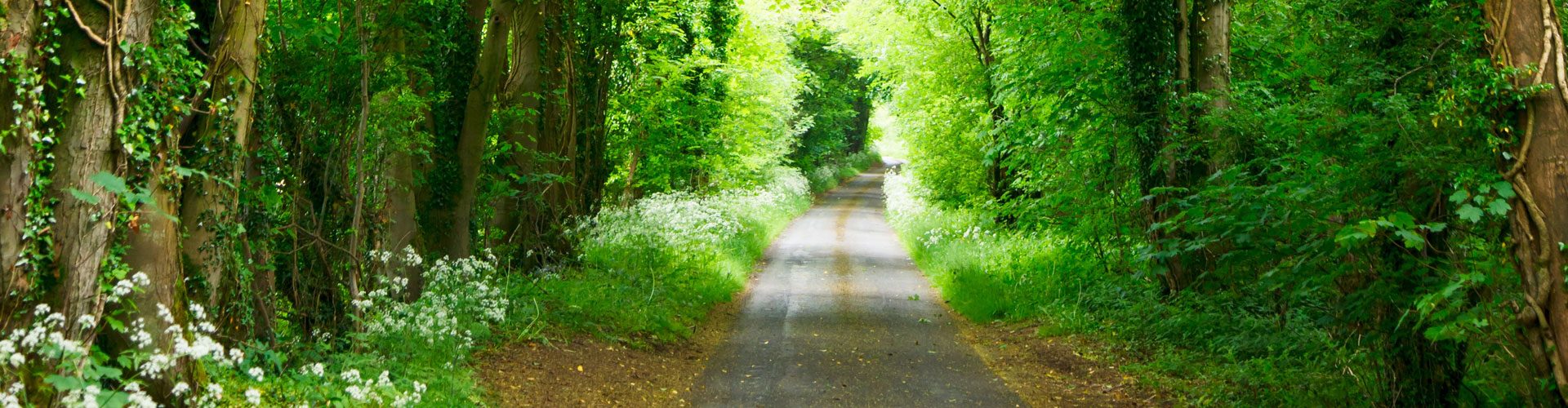 Annuaire